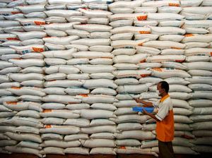 Mendag-Buwas Beda Suara soal Impor 1 Juta Ton Beras
