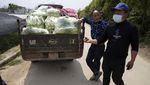 Petani Dunia Merajut Asa Bertahan di Tengah Wabah Corona