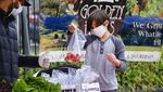 Petani Dunia Merajut Asa Bertahan di Tengah Wabah Corona
