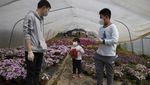 Petani Dunia Merajut Asa Bertahan di Tengah Wabah Corona