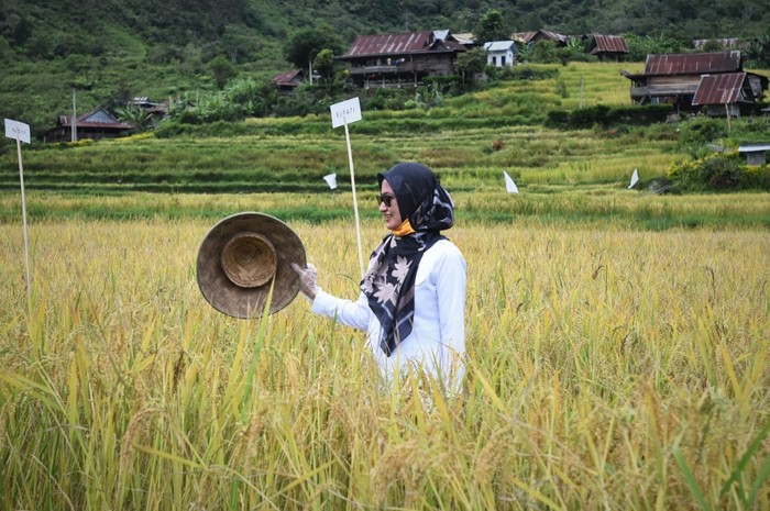 Indah Putri Indriani