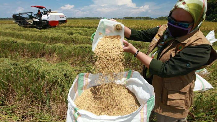 Petani padi di Kolaka Sultra melakukan panen dengan menerapkan imbauan cuci tangan untuk menghindari penularan virus Corona