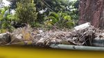 Potret Patung Dewa Setinggi 30 Meter yang Runtuh di Tuban