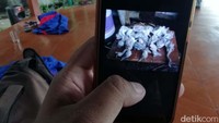 Akibat kejadian ini, ikan dan puluhan burung kuntul mati, diduga minum air tercemar tersebut.