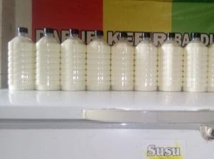 UIN-KKI Klaim Kefir Kolostrum Bantu Pemulihan Pasien COVID-19