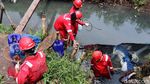 Pipa Pertamina Bocor, Cemari Sungai Cinambo
