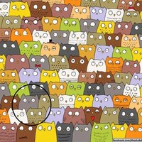 Jika berhasil temukan maka tandanya matamu sangat jeli. Tidak banyak loh yang bisa menemukan kucing dalam gambar ini. Foto: dok. Facebook Dudolf