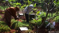 Warga di Parung Bingung, Depok saat berziarah kubur ke kerabat dan saudra di tengah diperlakukannya pembatasan sosial berskala besar (PSBB) oleh Pemkot Kota Depok