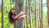 Memang hasil penelitian memperlihatkan pohon memiliki tenaga penyembuh. Orang Jepang suka melakukan ritual mandi pohon atau shinrin-yoku yang sudah menjadi tradisi serta menjadi program nasional kesehatan Jepang sejak 1982.