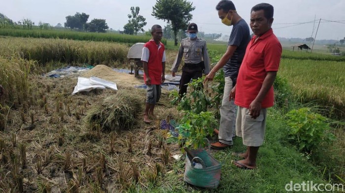 Lokasi kejadian petani tewas usai salah minum potas di Blora, Jumat (17/4/2020).