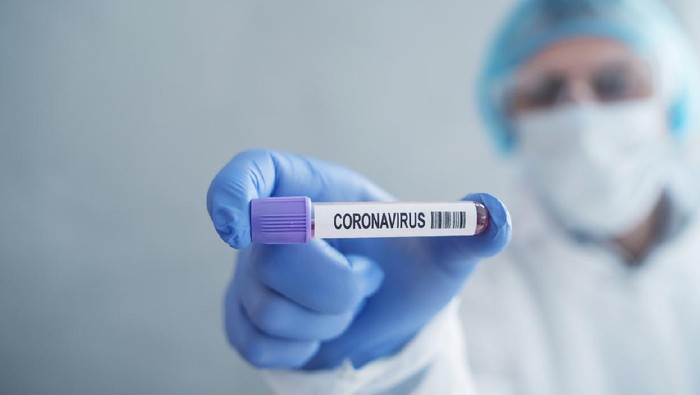 Coronavirus blood test in hospital laboratory