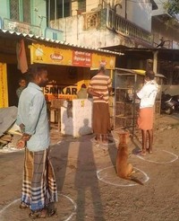 hewan social distancing