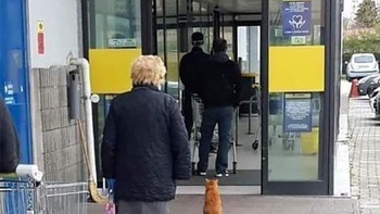 Hewan saja ikut antri dengan tertib dan jaga jarak. (Foto: Boredpanda)