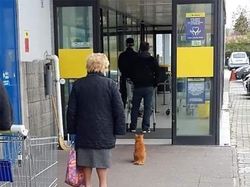 Lucu! Ketika Hewan-hewan ini Ikutan Social Distancing