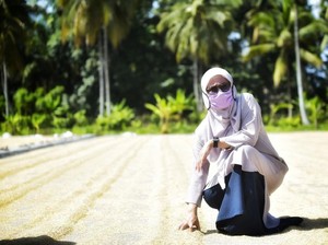 Bupati Luwu Utara Borong 5 Ton Beras untuk Dibagikan ke Warga