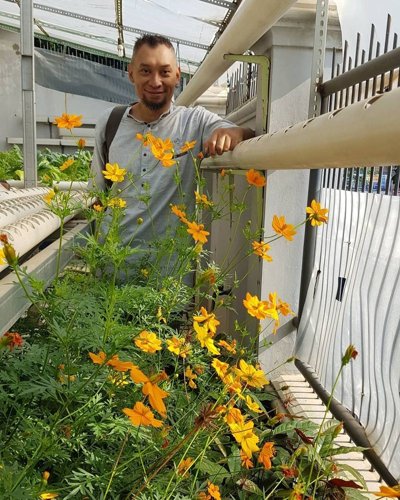 chef haryo berkebun
