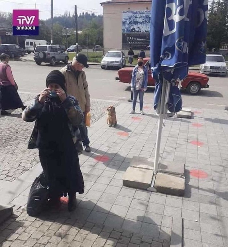 hewan social distancing