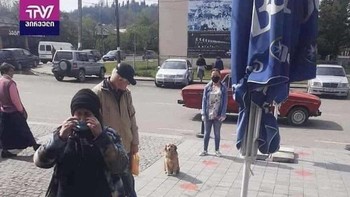 Anjing lokal yang turut antri dan jaga jarak dengan manusia. (Foto: Boredpanda)