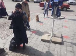 Lucu! Ketika Hewan-hewan ini Ikutan Social Distancing