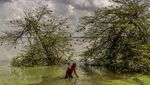 Foto Terbaik Lingkungan Hidup di Ajang World Press Photo 2020