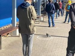 Lucu! Ketika Hewan-hewan ini Ikutan Social Distancing