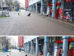 Lucu! Ketika Hewan-hewan ini Ikutan Social Distancing