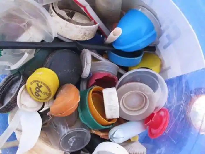 sampah makanan