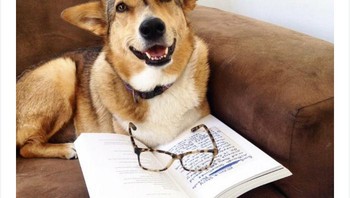 Selesai membaca setelah berjam-jam memelototi buku. Foto: via Bored Panda