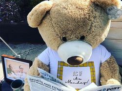 Tingkah Lucu Dua Beruang Raksasa Saat Karantina di Rumah