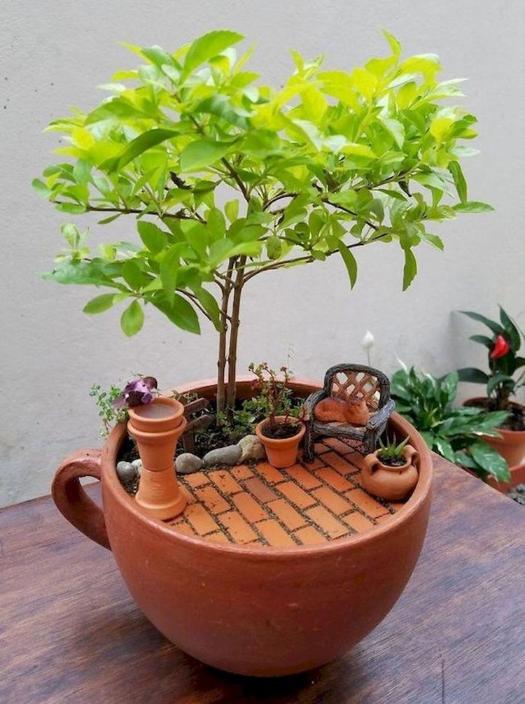 Kreatif! Ada Miniatur Taman di Atas Cangkir Teh Saat karantina di rumah akibat pandemi COVID-19, sejumlah warga membuat miniatur taman yang cantik di atas sebuah cangkir teh untuk menghabiskan waktunya.