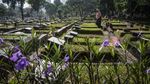 Ragam Aktivitas Warga Jelang Ramadhan