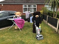 Tingkah Lucu Dua Beruang Raksasa Saat Karantina di Rumah