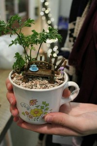 Saat karantina di rumah akibat pandemi COVID-19, sejumlah warga membuat miniatur taman yang cantik di atas sebuah cangkir teh untuk menghabiskan waktunya.