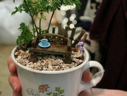 Kreatif! Ada Miniatur Taman di Atas Cangkir Teh