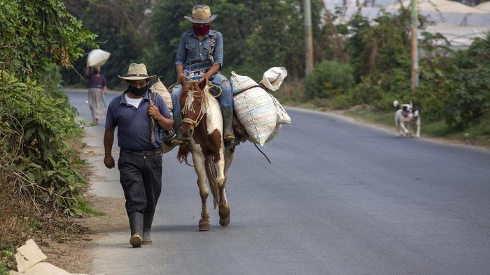 Para petani di dataran tinggi Guatemala tetap harus bekerja di tengah mewabahnya virus Corona di negeri tersebut. Begini potret kehidupan mereka di saat pandemi melanda.