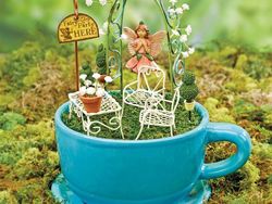 Kreatif! Ada Miniatur Taman di Atas Cangkir Teh