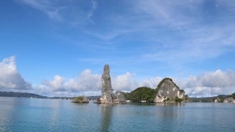 Batu Pensil Objek wisata di Teluk Kabui, Raja Ampat.