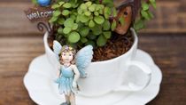 Kreatif! Ada Miniatur Taman di Atas Cangkir Teh