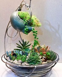 Saat karantina di rumah akibat pandemi COVID-19, sejumlah warga membuat miniatur taman yang cantik di atas sebuah cangkir teh untuk menghabiskan waktunya.