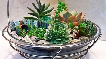 Tanaman yang merambat dari teko seakan menjadi air yang mengaliri taman.