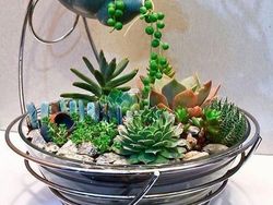 Kreatif! Ada Miniatur Taman di Atas Cangkir Teh