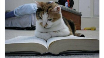 Mencoba memahami bahan ujian. Foto: via Bored Panda