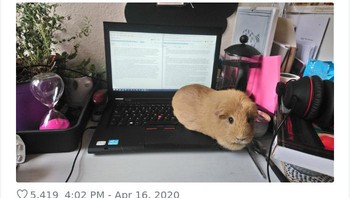 Asisten riset sedang menjelaskan temuan risetnya. Foto: via Bored Panda