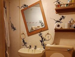 Intip Karya Seniman Lukis Kamar Mandi Saat Karantina di Rumah