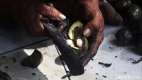 Pada hari biasa harga kolang-kaling dijual Rp 7 ribu per kilogram, namun masuk bulan Ramadhan ini harganya naik hingga mencapai Rp 9 ribu per kilogram.