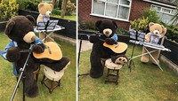 Dua beruang raksasa, Ted & Ed juga ikut di karantina selama Pandemi Corona. Ia tetap hadir membawa aura positif pada lingkungannya selama masa-masa sulit itu. Ngapain aja sih ya mereka?