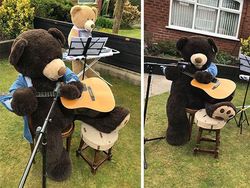 Tingkah Lucu Dua Beruang Raksasa Saat Karantina di Rumah