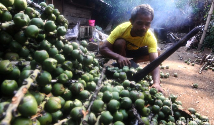 Jelang Ramadhan, Permintaan Kolang Kaling Meningkat Permintaan kolang kaling di Kabupaten Sumedang, mulai meningkat menjelang Ramadhan. Mau tahu cara pembuatannya? Yuk, lihat proses pengolahan kolang-kaling.