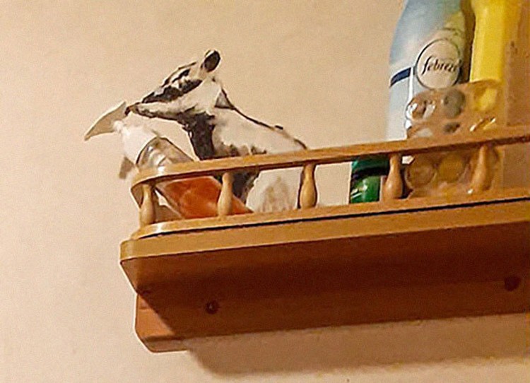 Di tengah pandemi Corona, sebagian besar seniman juga kena imbas harus tetap berada di rumah. Tak hilang akal, seniman lukis yang satu ini tetap membuktikan dirinya masih bisa berkarya di masa isolasi.