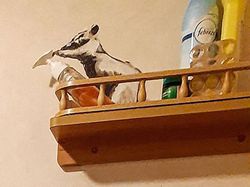 Intip Karya Seniman Lukis Kamar Mandi Saat Karantina di Rumah